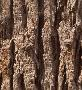 terrains terrains a batir